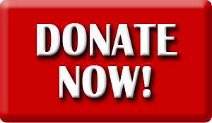 Donate-Now Button